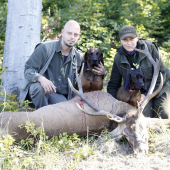 Jedna z uspesnych dohladavok...