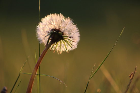 V posledných hrejivých lúčoch