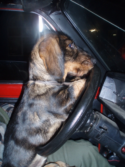 Ticho! Nerušiť! Nevidíš že sa musím pekelne sústrediť?