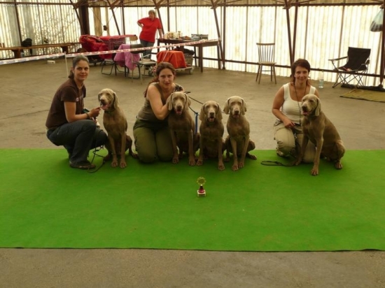 2 místo o Nejhezčí Chovatelskou skupinu