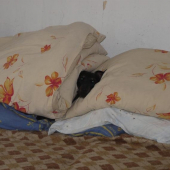 Norník postelový :o))