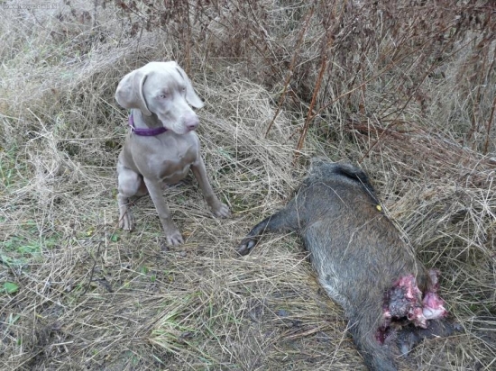 Náhodný nález - Bastien 6 měsíců