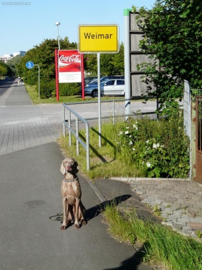 Výmar ve Weimaru