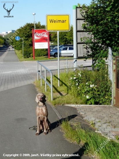 Výmar ve Weimaru