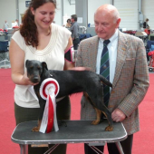 NV a MVP Erfurt 09 - 2 x CAC, CACIB, 2 x BOB