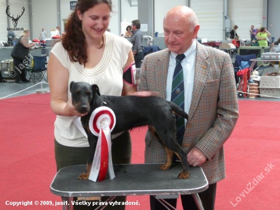 NV a MVP Erfurt 09 - 2 x CAC, CACIB, 2 x BOB