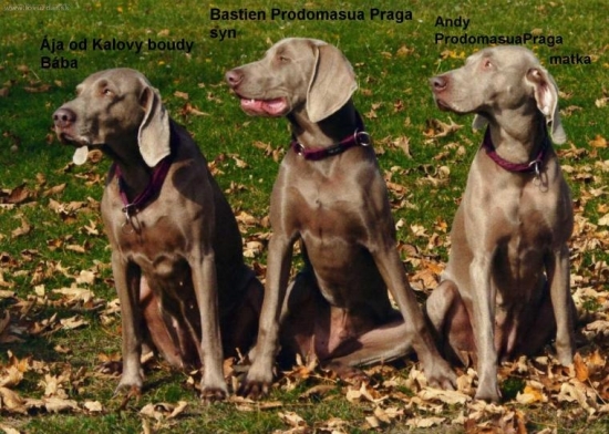 Výmaří rodinka (tři generace)Bába, vnuk, dcera