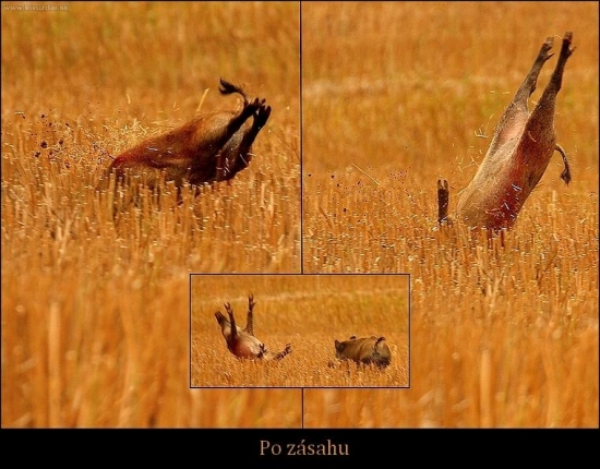 Lanštiak po zásahu na komoru