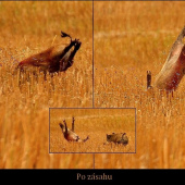 Lanštiak po zásahu na komoru