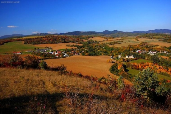 Haluzice