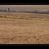 Tu je z čoho vyberať na posede!:)