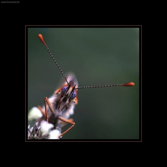 O päť minút tri !