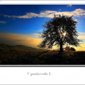 Kúsok nášho poľovného revíru