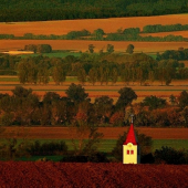 kúsok prírody od reštaurácie Hoffer pri Nitre