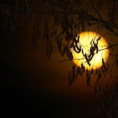 Čo som dnes videl z môjho okna