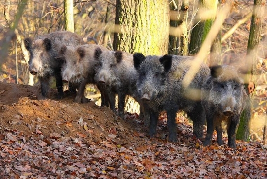 Spoločná foto po dobre vykonanej práci
