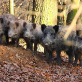 Spoločná foto po dobre vykonanej práci