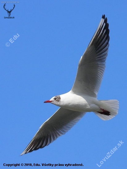 53969