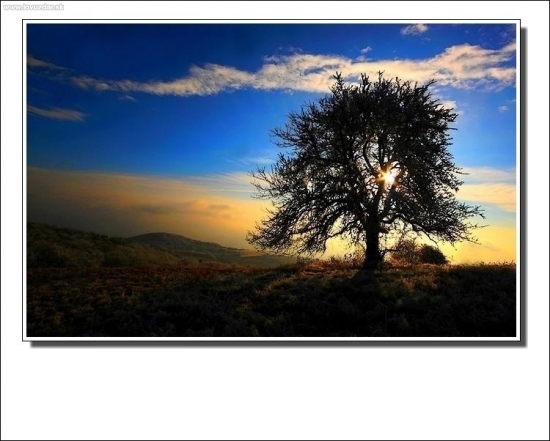 Večer v našom revíri