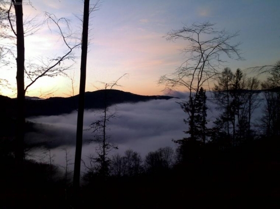 Ranná hmla