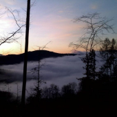 Ranná hmla