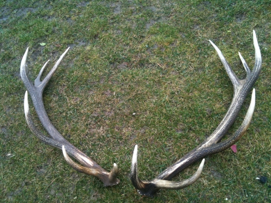 Konecne spolu po 2 rokoch