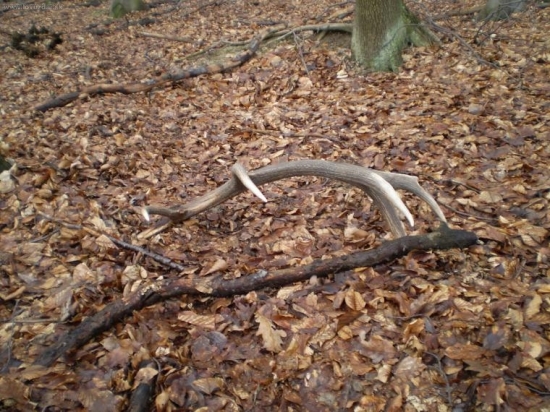 Nájdene 12.3.09 váha 4 kg