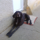 pohoda