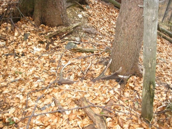 prvý pohlad dva roky tam ležal vaha 2,15kg