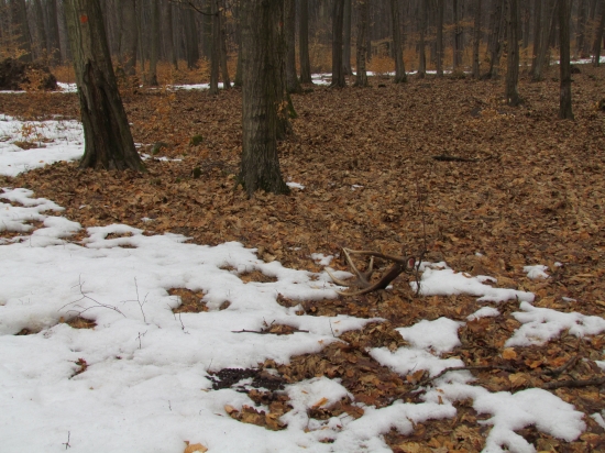 dalsi do zbierky r.2012