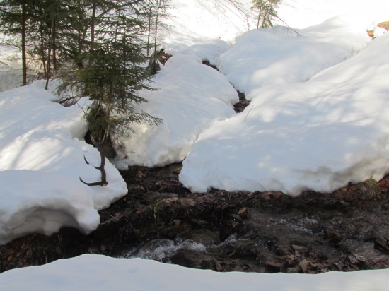 prvy pohlad prveho zo soboty