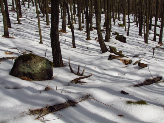 dnesna 12cka v dubine