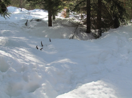 Prekvapko zapadnute snehom