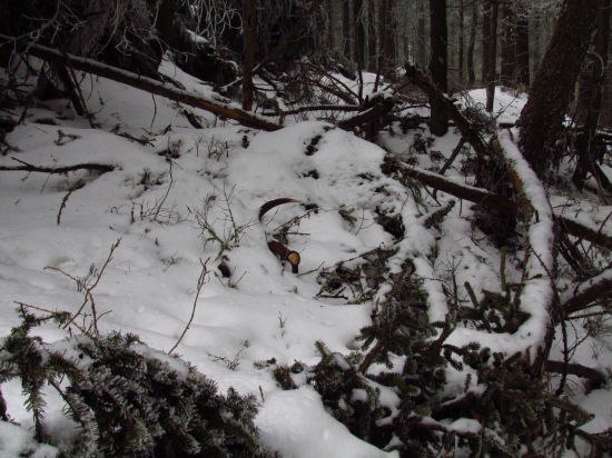 V tažkom terene dohladany par