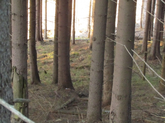 štartovacie do sezony 2014