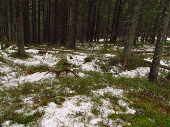 Nepr. 16torak pekne pri sebe zhodene.