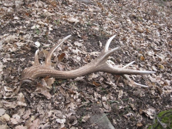 pohlad z blizsia zhodu 58143