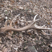 pohlad z blizsia zhodu 58143