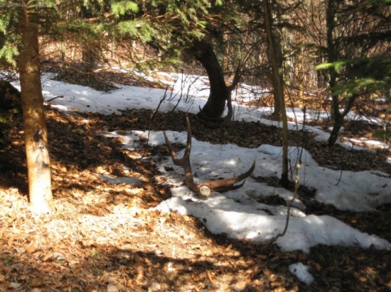 prva tohtoročna vychadzka-takto ležali