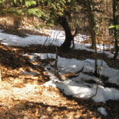 prva tohtoročna vychadzka-takto ležali
