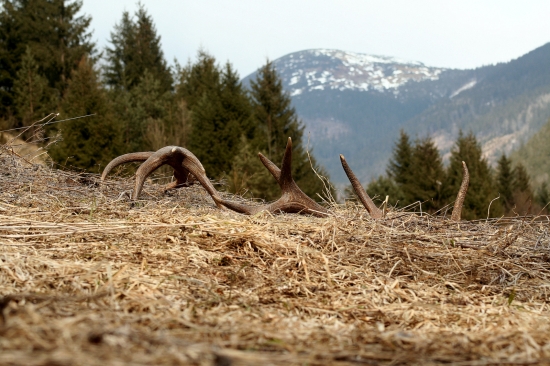 dnes mal štastie kamarát...