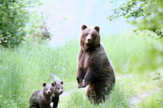 starostlivá mama...