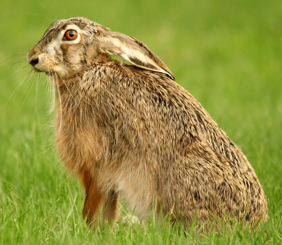 vstávat a cvičit..