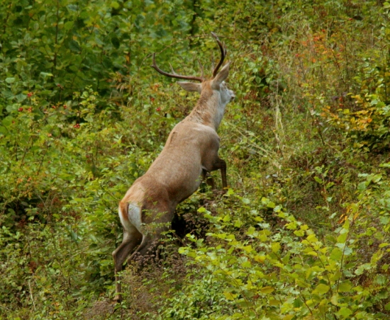 tak ja padááám...