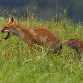 Seru na to, idme spať!!