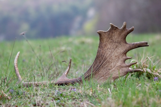 Keď sa šťastie usmeje...