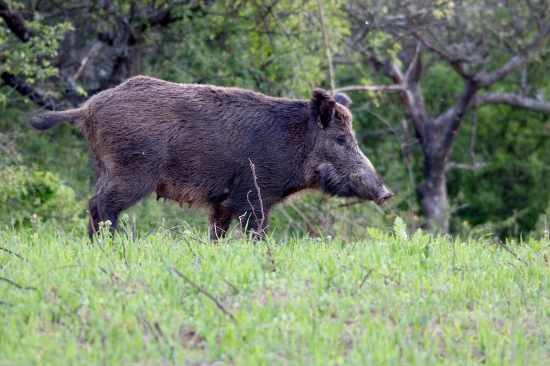 Mrkla a už sa jej niečo nezdalo..