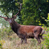 Z upršaného dňa...