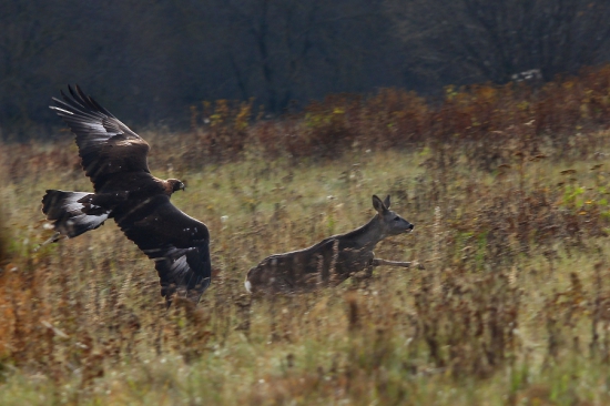 Posledné sekundy...