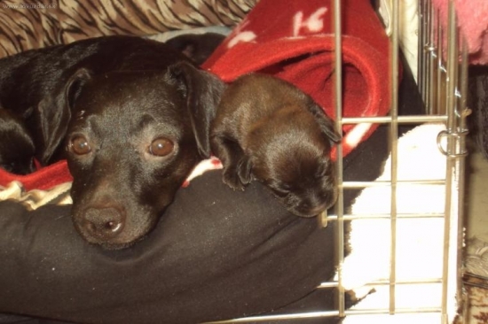 mami, videla si to??